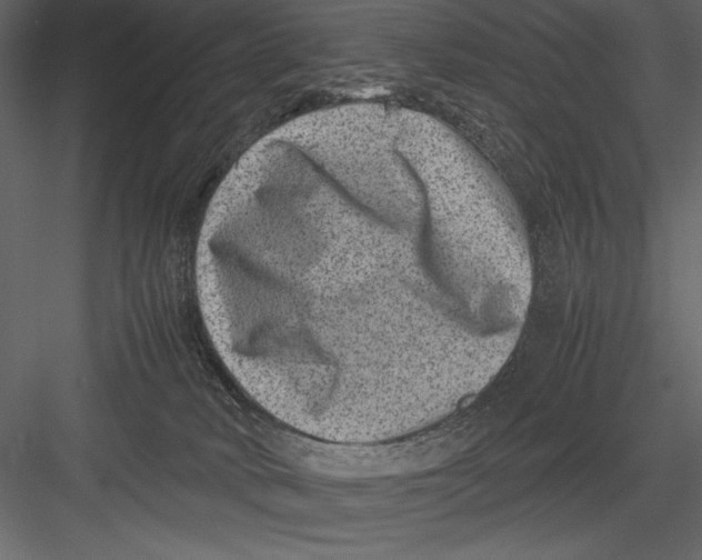 X0000082990034200702230112