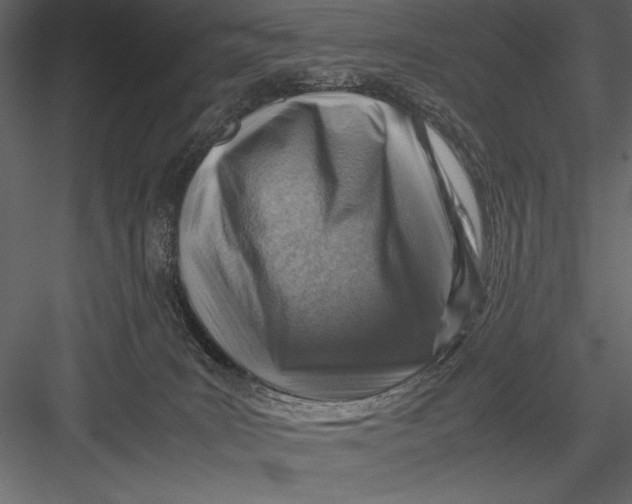 X0000082990035200702230112