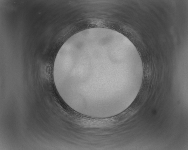 X0000082990036200702230112