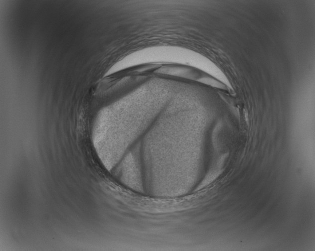 X0000082990037200702230112