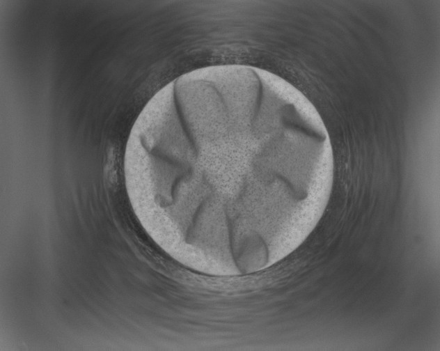 X0000082990038200702230112