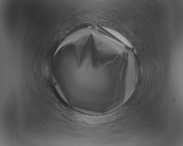 X0000082990039200702230112