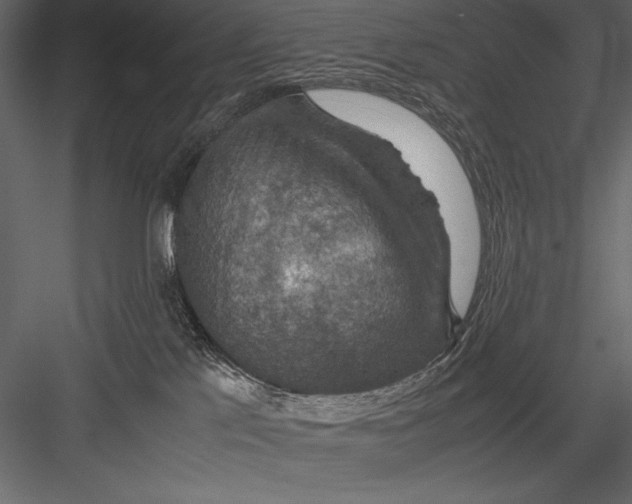 X0000082990041200702230112