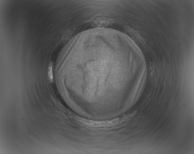 X0000082990042200702230112