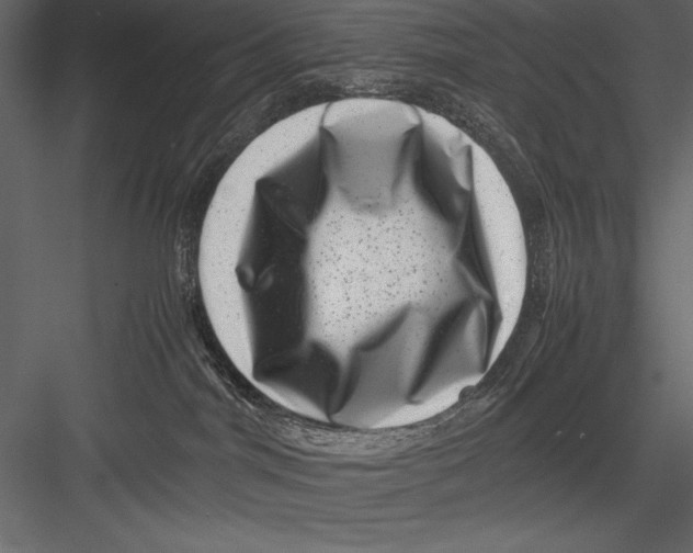 X0000082990044200702230112