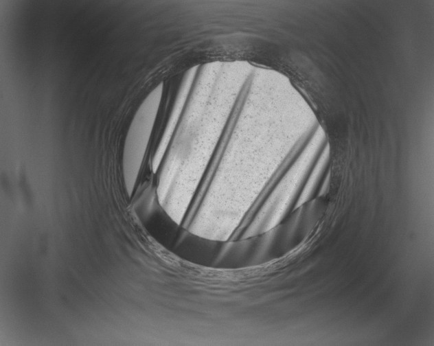 X0000082990045200702230112