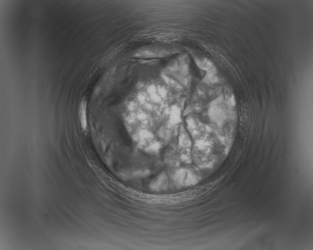 X0000082990046200702230112