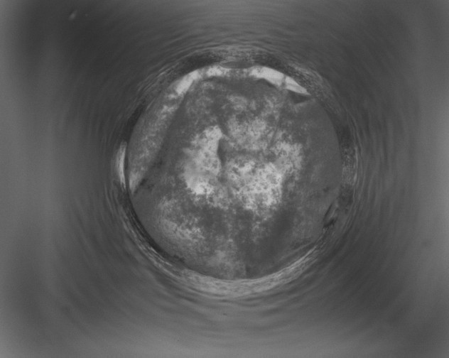 X0000082990047200702230112