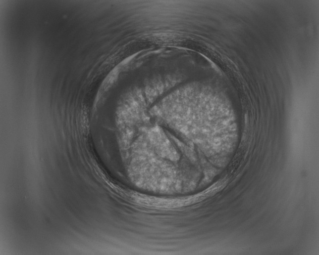 X0000082990048200702230112