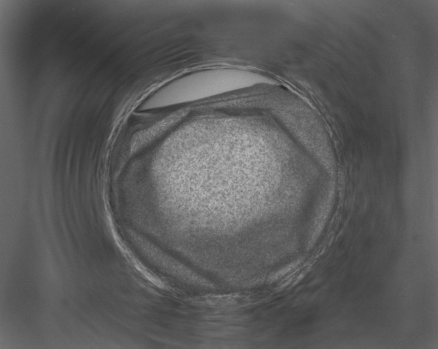 X0000082990049200702230111