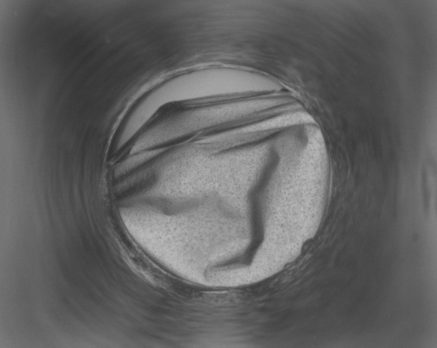 X0000082990050200702230111