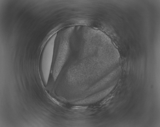 X0000082990051200702230111