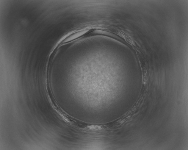 X0000082990052200702230111