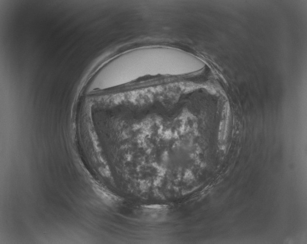 X0000082990053200702230111