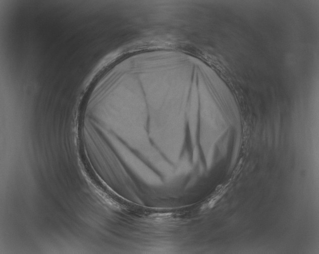 X0000082990054200702230111