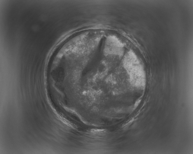 X0000082990055200702230111