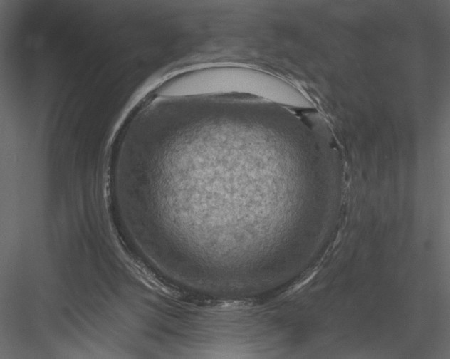 X0000082990056200702230111