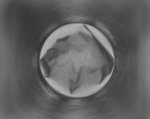 X0000082990058200702230111