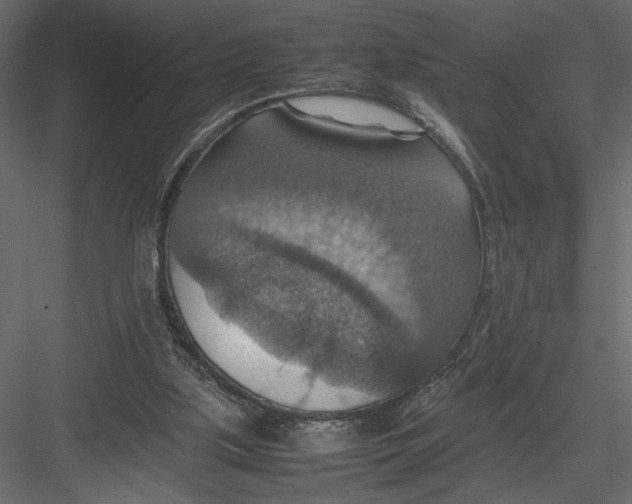 X0000082990059200702230111