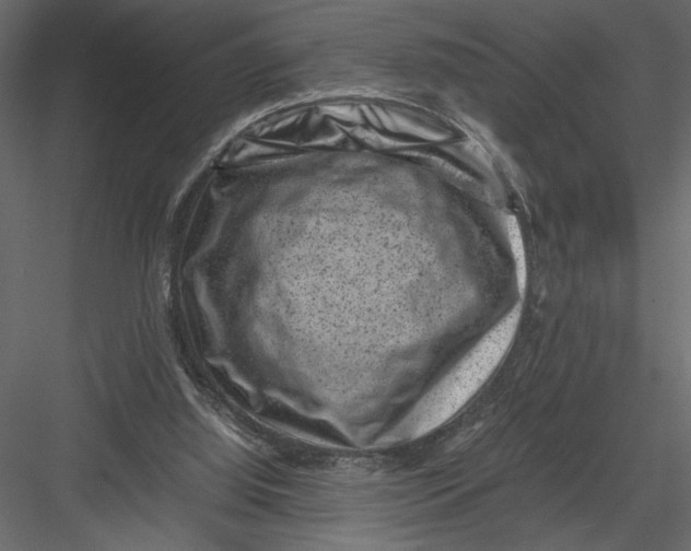 X0000082990060200702230111