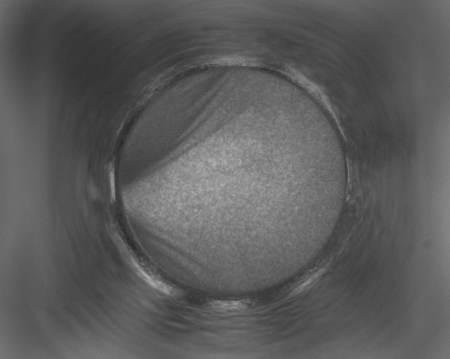 X0000082990061200702230111