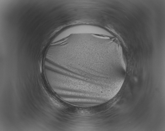 X0000082990062200702230111