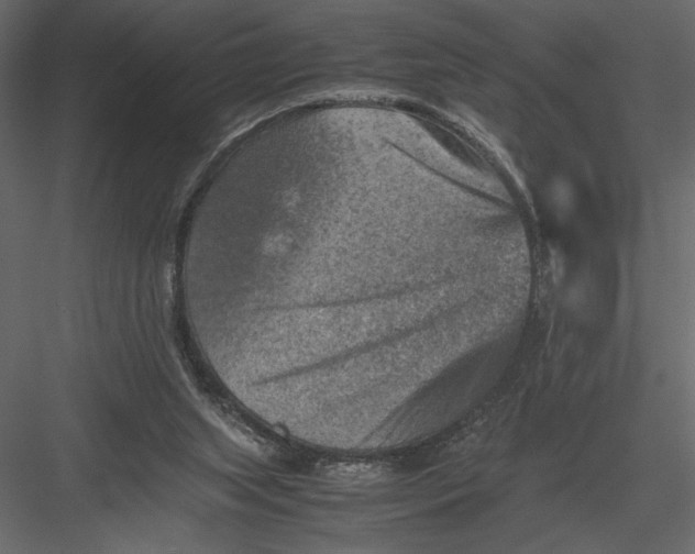 X0000082990063200702230111