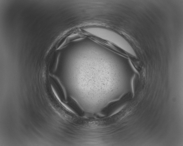 X0000082990064200702230111