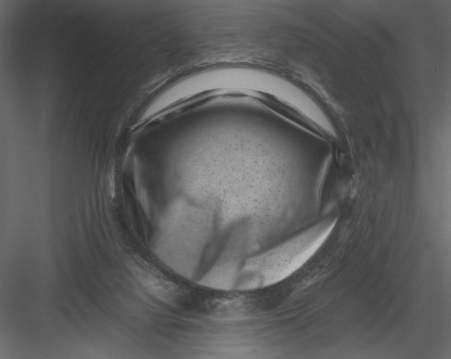 X0000082990068200702230111