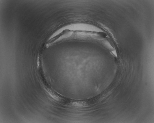 X0000082990069200702230111