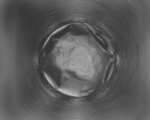 X0000082990072200702230111