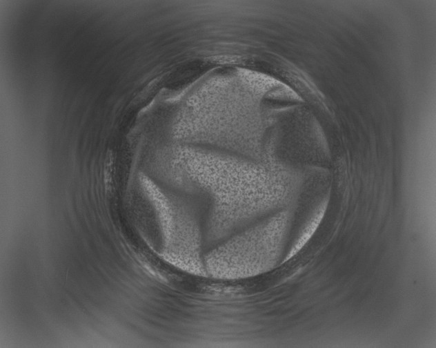 X0000082990073200702230111