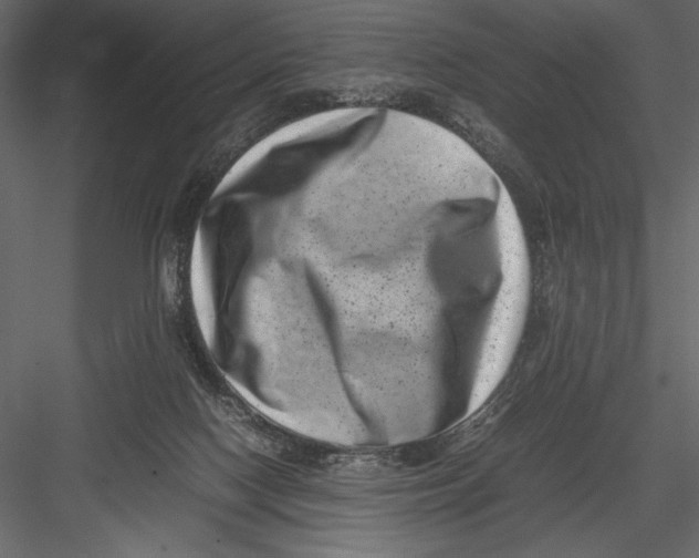 X0000082990074200702230111