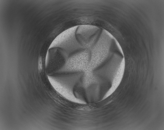 X0000082990075200702230111