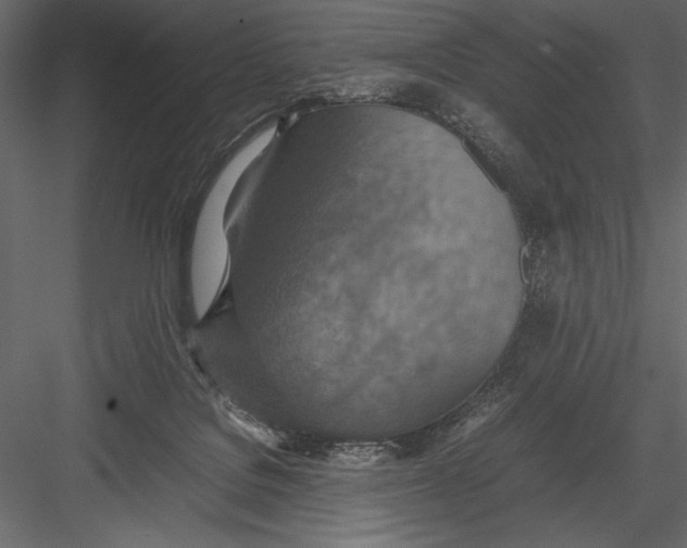 X0000082990076200702230111