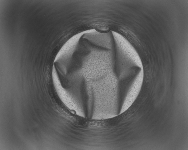 X0000082990077200702230111