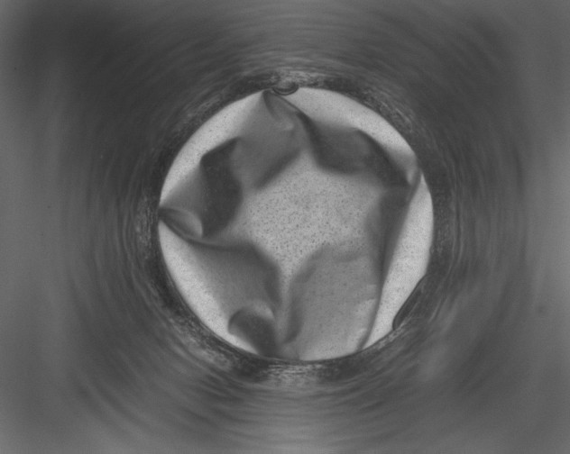 X0000082990078200702230111