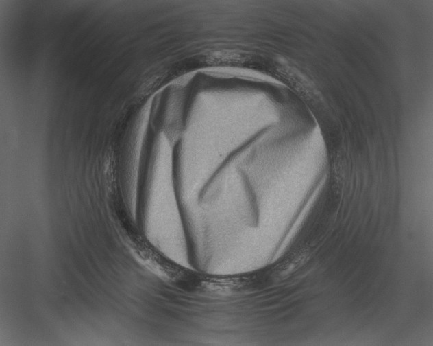 X0000082990079200702230111