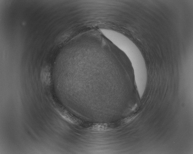 X0000082990080200702230111