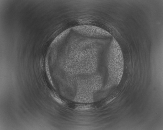 X0000082990081200702230111