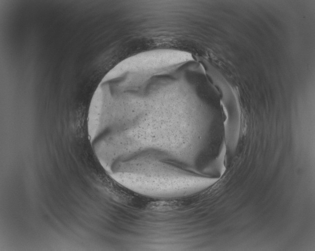 X0000082990082200702230111