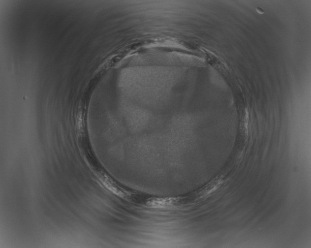 X0000082990084200702230111