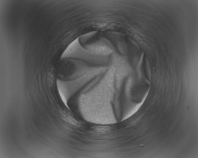 X0000082990085200702230111