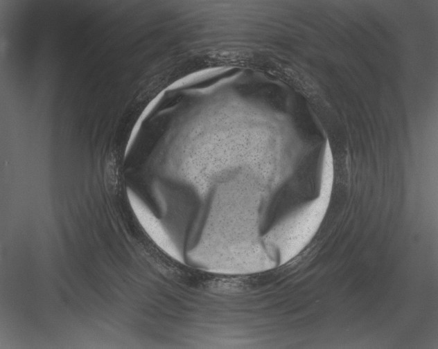 X0000082990086200702230111