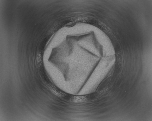 X0000082990087200702230111