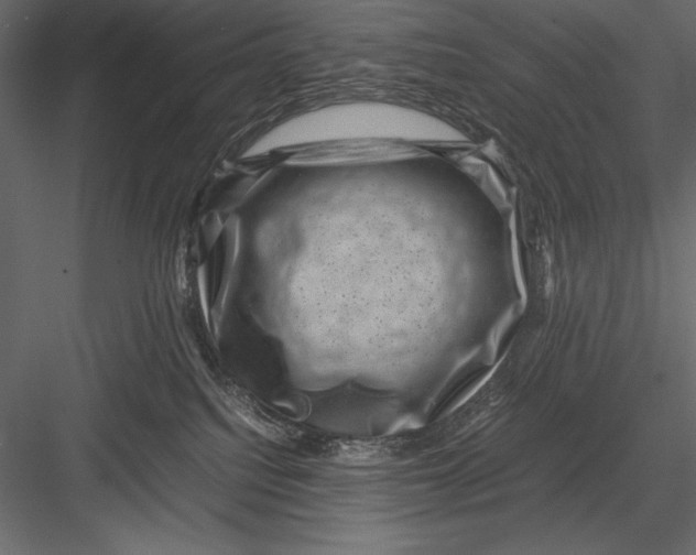 X0000082990088200702230111