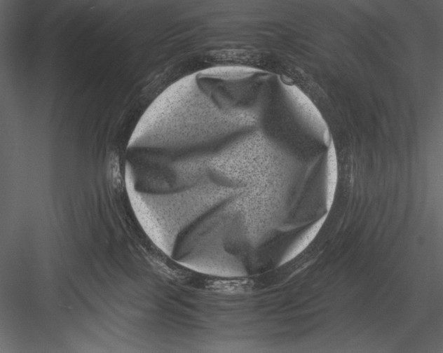 X0000082990089200702230111