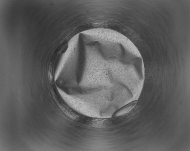 X0000082990090200702230111