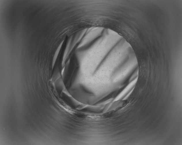 X0000082990092200702230111