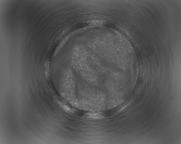 X0000082990093200702230111